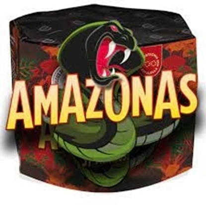 Foto de BATERIA AMAZONAS