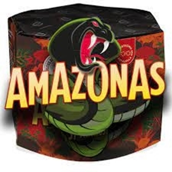 Foto de BATERIA AMAZONAS