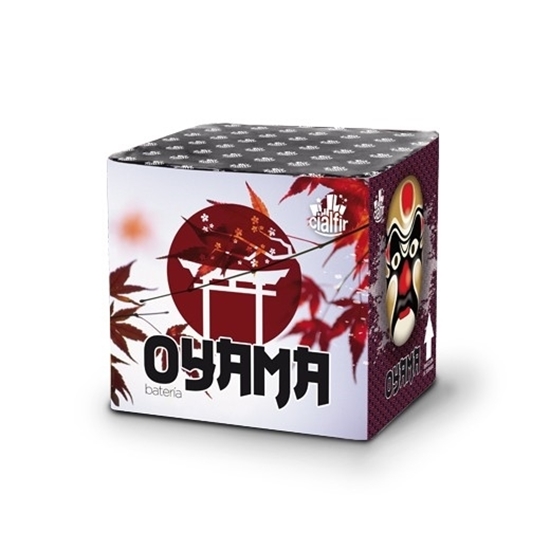 Foto de BATERIA OYAMA