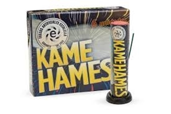 Foto de 6 KAME HAMES